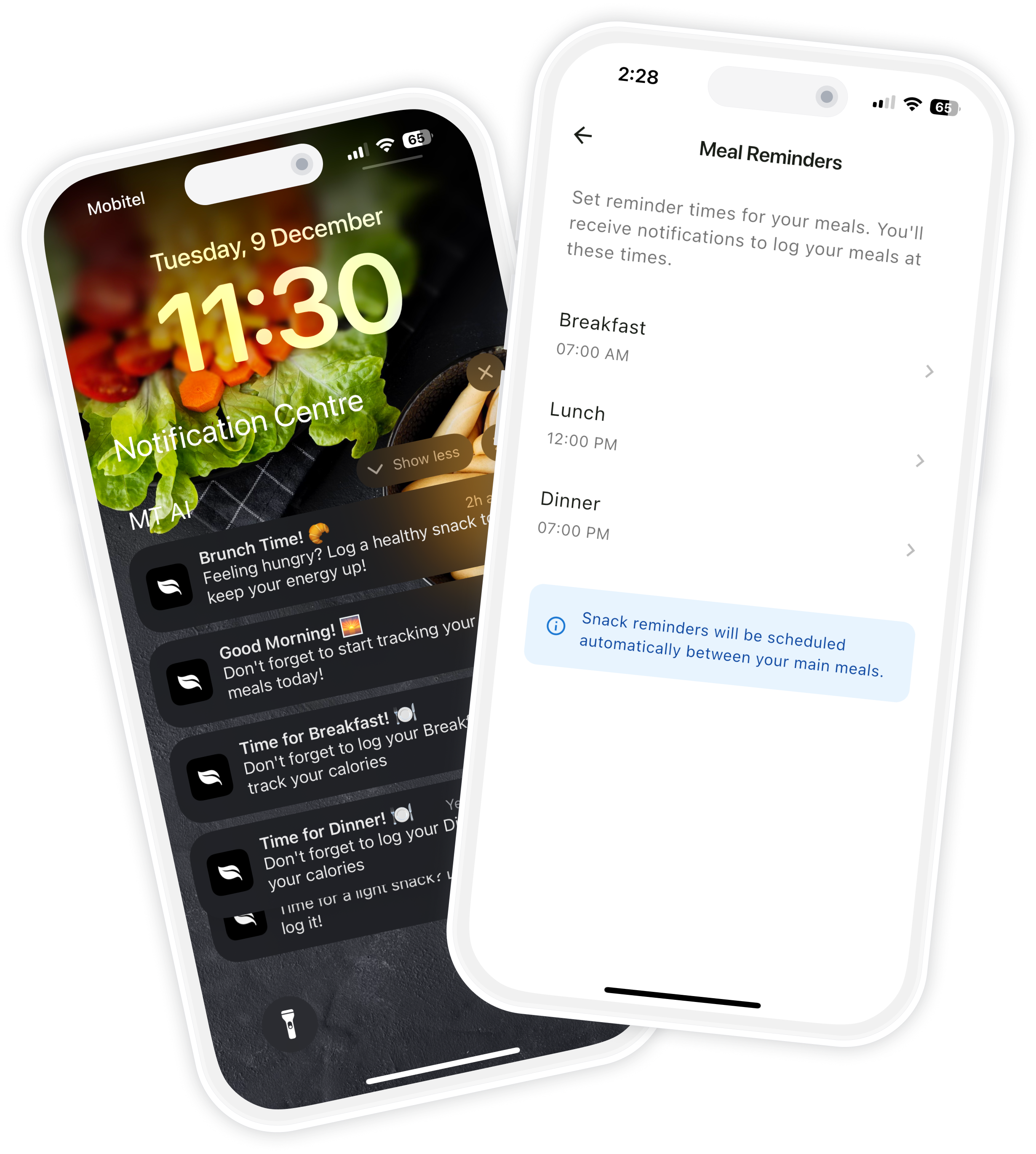 Smart Meal Reminder - Never Miss a Meal Log Hero Image
